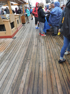 DSCN6833.JPG