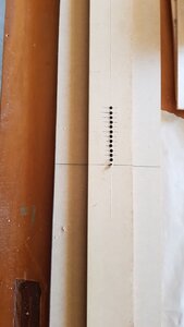 25 Deck Beam Cutting Jig.jpg