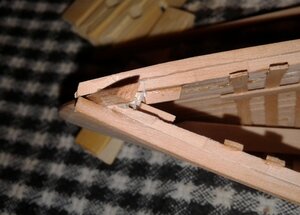 20200828_200032 aa.jpg