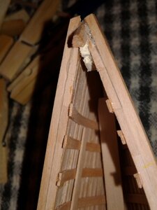 20200828_200110 aa.jpg