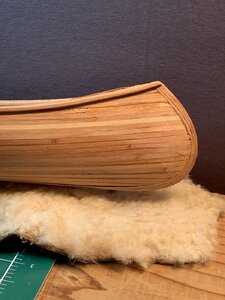 Canoe 8.31 D.jpg