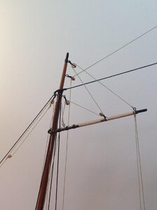 swift9.jpg