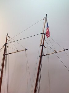 swift10.jpg