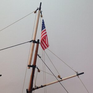 swift11.jpg