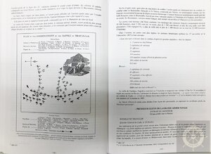 IMG-428111.jpg IMG-428111.jpg