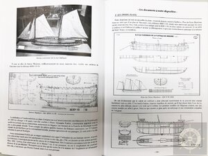 IMG-428211.jpg IMG-428211.jpg