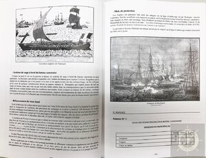 IMG-428411.jpg IMG-428411.jpg