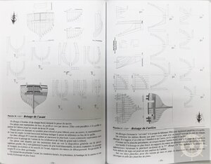 IMG-428711.jpg IMG-428711.jpg