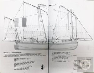 IMG-429011.jpg IMG-429011.jpg