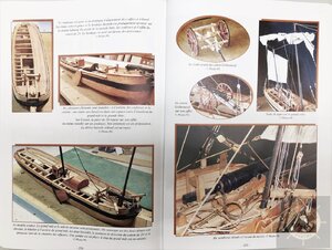 IMG-429711.jpg IMG-429711.jpg