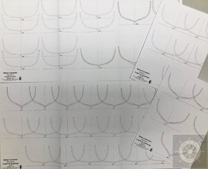 IMG-430111.jpg IMG-430111.jpg