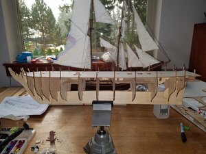 20200912_150255.jpg