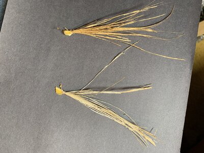 Marsh Bullrushes TIed and End Glued.jpg