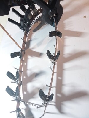 20201003_124609.jpg