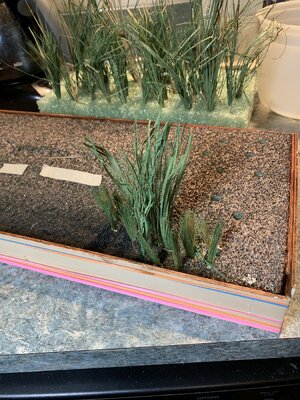 Planting a Marsh.jpg