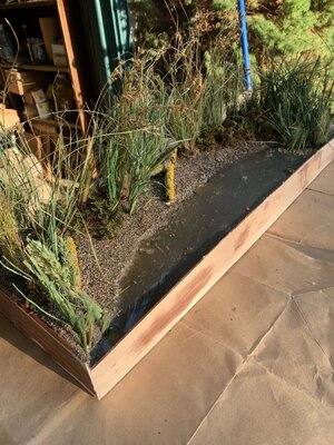 Marsh Board 10.9 A Planted.jpg
