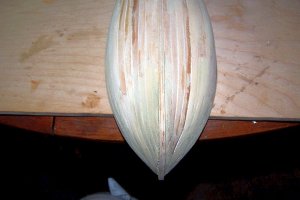 planked hull 003.jpg