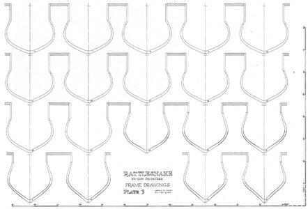 rattlesnake 3.jpg