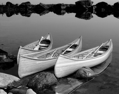 _DSC2830 a bw aa.jpg