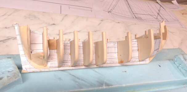 Fig 6 framing aftIMG_1810.jpg