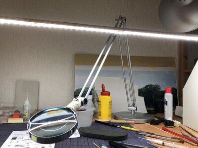 IMG_7303.jpeg