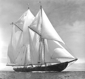Bluenose full sail Into the wind.jpg