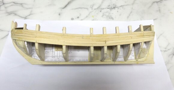 Fig 13 planking 3IMG_1825.jpg