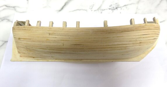 fig 14 planking 4IMG_1834.jpg