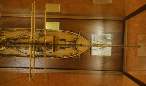 DSC02572.JPG