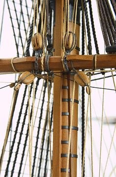 1600-foremat-trinquita--STANDING  rigging (12).jpg