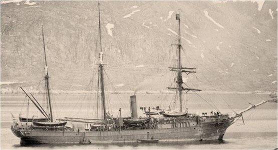 2.-Bear-1884.jpg