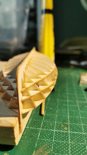 IMG-20210130-WA0023.jpeg