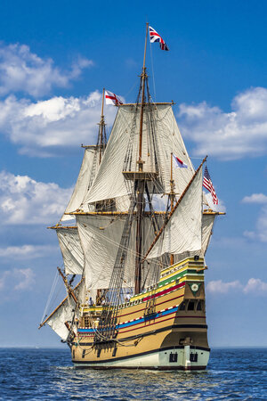 Mayflower - 1.jpg
