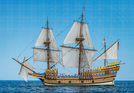 Mayflower - 2.jpg