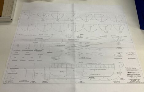 F404C092-827A-4D5A-BD31-2FCE21F5B395.jpeg