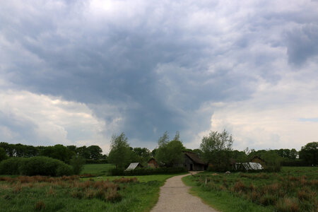 1 IMG_1377.jpg