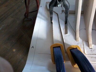 20210315_013403.jpg
