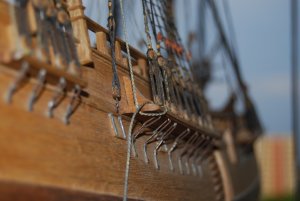 DSC_2413.JPG