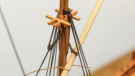 5DM34523.JPG 5DM34523.JPG