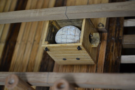 DSC_0084.JPG
