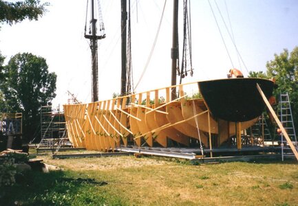 TegG9.jpg