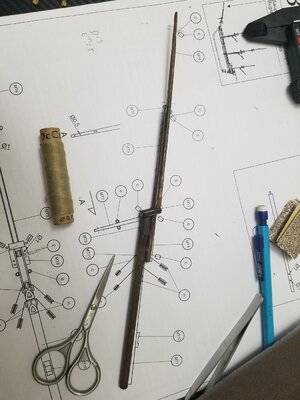 20210519_011927.jpg