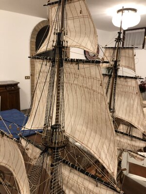 IMG_8160.jpg