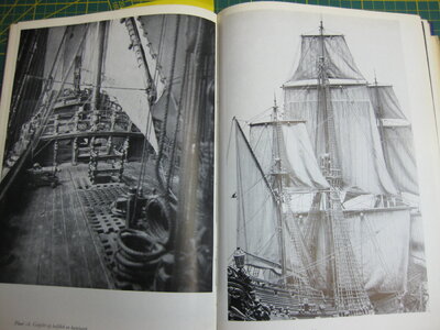 IMG_1704.JPG IMG_1704.JPG