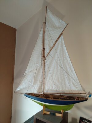 IMG_20210611_131217.jpg