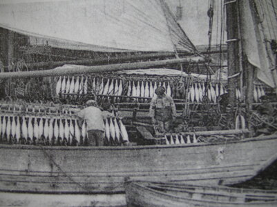 SANY1289.JPG