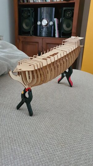 IMG-20210701-WA0016.jpeg