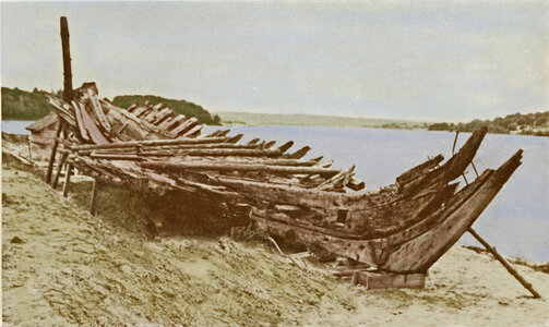 tecumseth on beach color.jpg