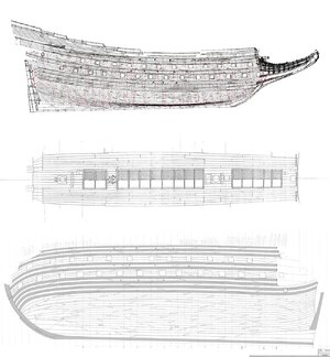 original Vasa planking.jpg