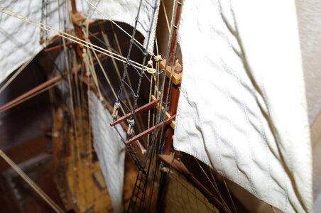 IMGP0295.JPG IMGP0295.JPG